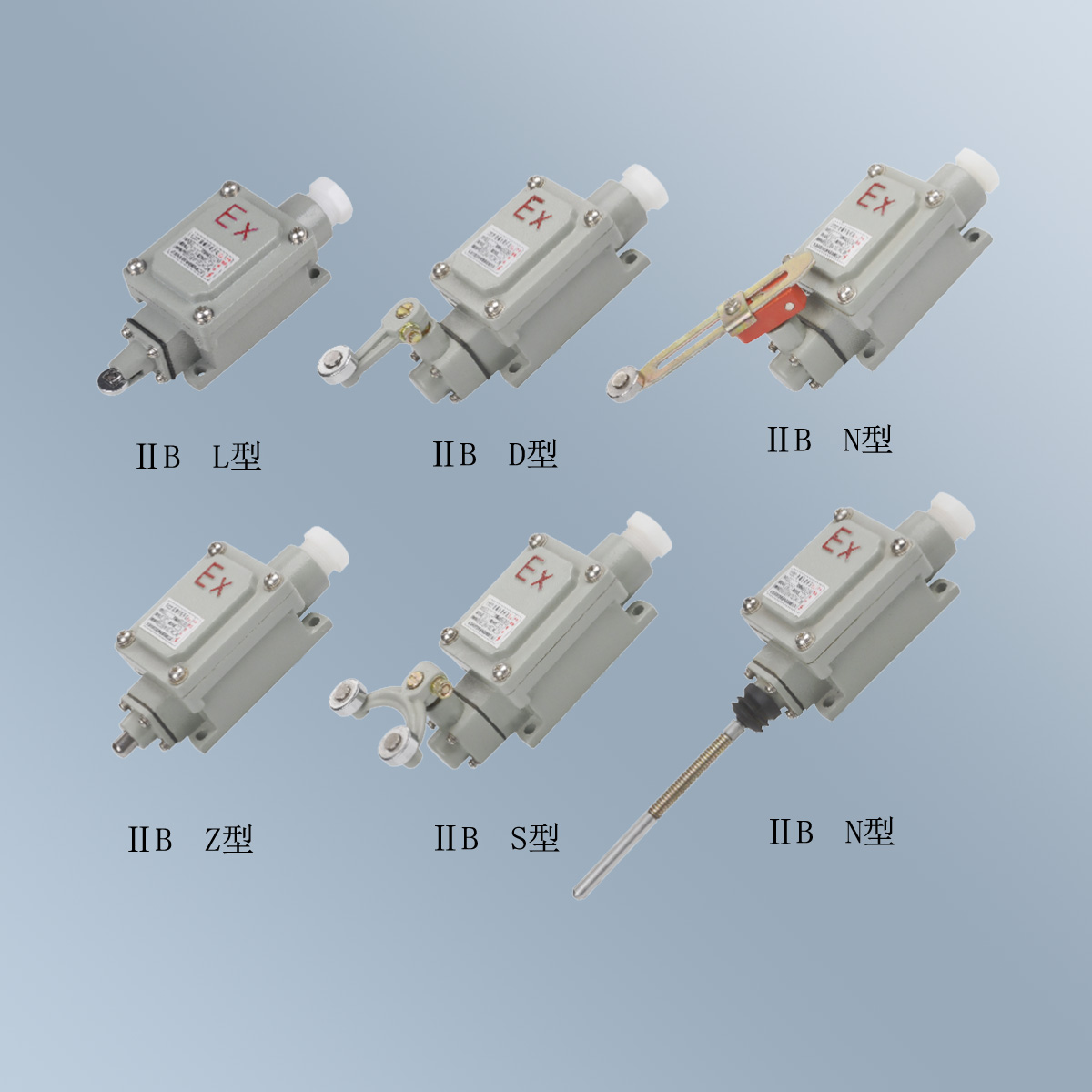 BLX5 系列防爆行程開關 (ⅡB)
